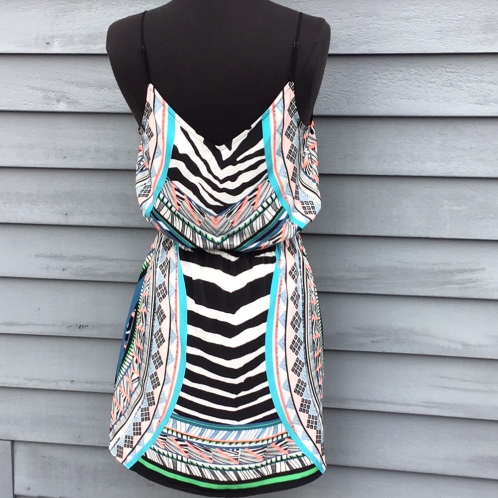 Express Multi Color Zebra Print Dress - image 5
